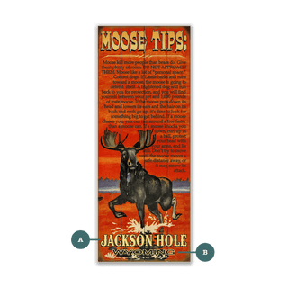 Tips For Moose Safety - Wood & Metal Wall Art