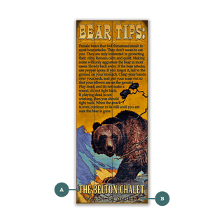 Tips For Grizzly Safety - Wood & Metal Wall Art