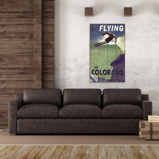 Flying In Colorado - Wood & Metal Wall Art