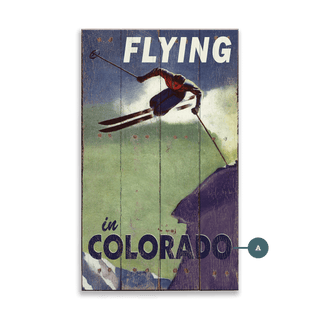 Flying In Colorado - Wood & Metal Wall Art