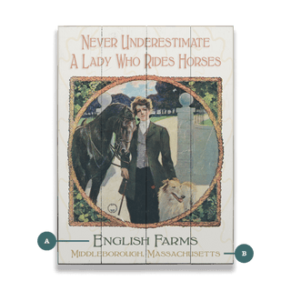 A Lady Who Rides Horses - Wood & Metal Wall Art