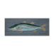 Snook - Wood & Metal Wall Art