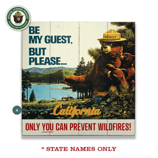 Smokey Bear 1967 Be My Guest: Personalized - Wood & Metal Wall Art