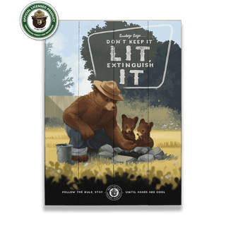 Smokey Bear 2017 Extinguish It - Wood & Metal Wall Art Smokey Bear