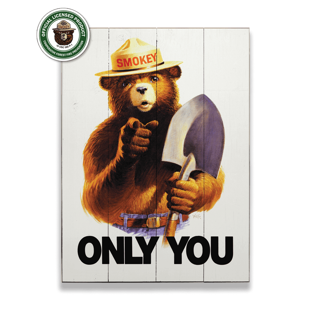 Smokey Bear 1985 Only You - Wood & Metal Wall Art – Old Wood Signs