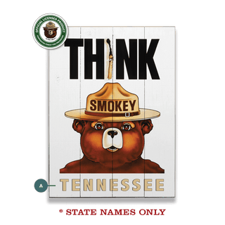 Smokey Bear 1974 Think Poster: Personalized - Wood & Metal Wall Art