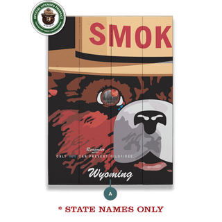 Smokey Bear 2007 Smokey Poster: Personalized - Wood & Metal Wall Art