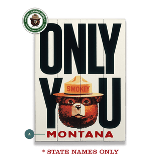 Smokey Bear 1981 Only You: Personalized - Wood & Metal Wall Art