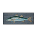 Snook-Generic: Metal Fish on Wood
