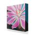 Bitterroot Flower Box Art - 1