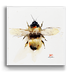 Bumblebee - Bumblebee