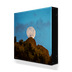 Full Moon Rises Box Art - 1