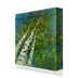 Skyward Aspen Trees Box Art - 1