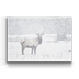 Snow Covered Elk Box Art - Snow Covered Elk Box Art