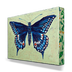 Black Swallowtail Box Art - 1