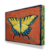 Yellow Swallowtail Box Art - 1