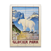 Glacier National Park Mountain Goat - Glacier National Park Mountain Goat