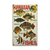 Hawaiian Fish Sign - Hawaiian Fish