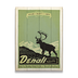 Denali National Park - Denali National Park