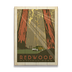 Redwood National Park - Redwood National Park