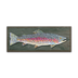 Rainbow Trout Metal and Wood - Sign - Rainbow Trout