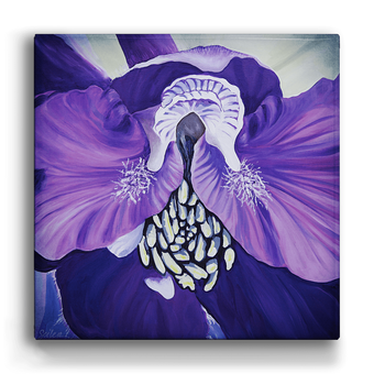 Purple Delphinium Box Art