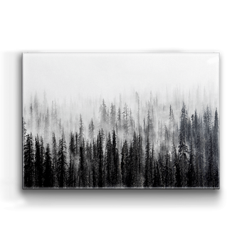 Misty Woods Box Art