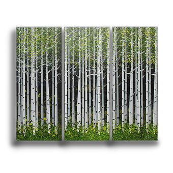 Summer Aspen Trees 3-Panel Box Art - Aspens XI