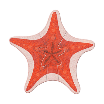 Coral Starfish Cut Up