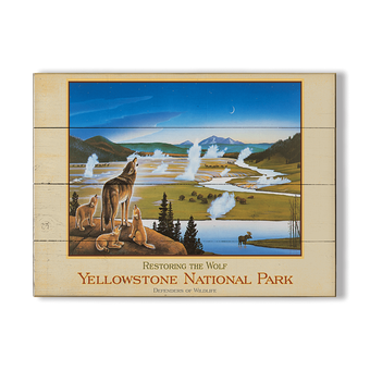 Restoring the Wolf to Yellowstone National Park
