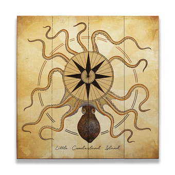Octopus Compass Rose