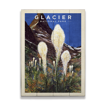 Glacier National Park Beargrass