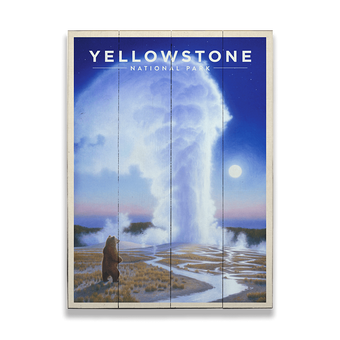 Bear Witness - Yellowstone National Park