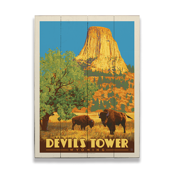 Devil’s Tower National Park