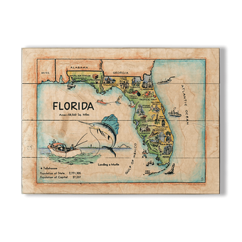 Historic Vintage Kids Map of Florida