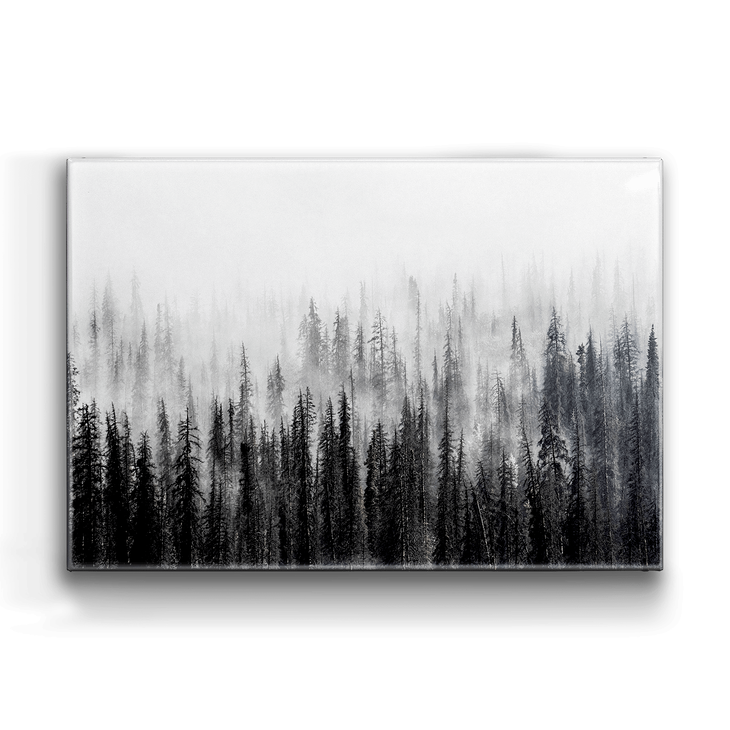 Misty Woods Box Art - Misty Woods Box Art