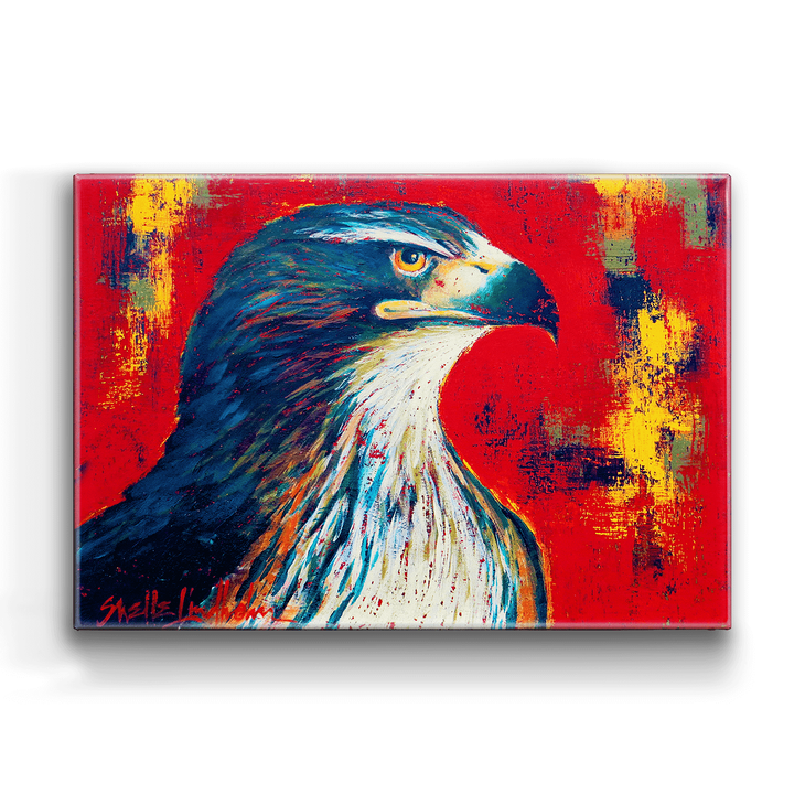 Red Tailed Hawk Box Art - Red Tailed Hawk