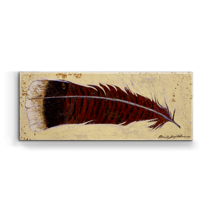 Turkey feather Box Art - Turkey feather
