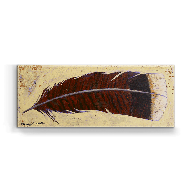 Turkey feather (Right) Box Art - Turkey feather