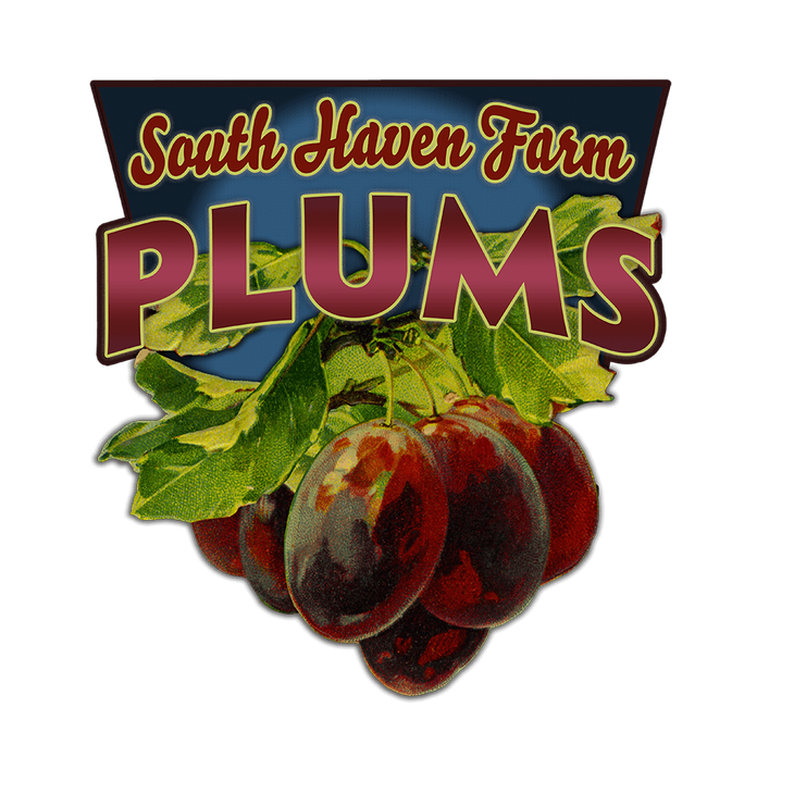 Plums (Shaped Signs) - Plums