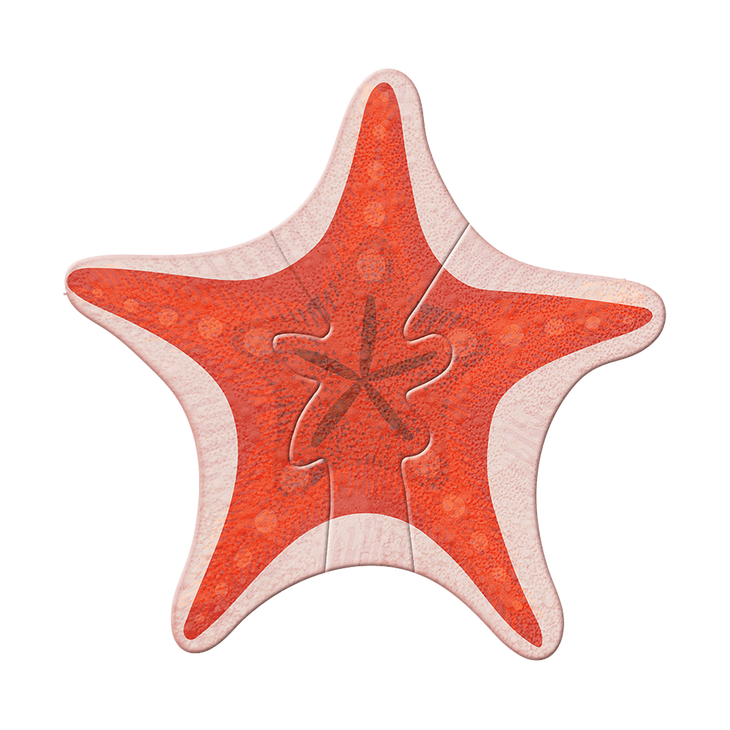 Coral Starfish Cut Up - Coral Starfish Cut Up