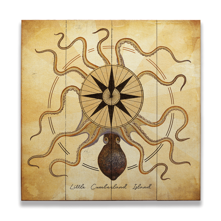 Octopus Compass Rose - Octopus Compass Rose