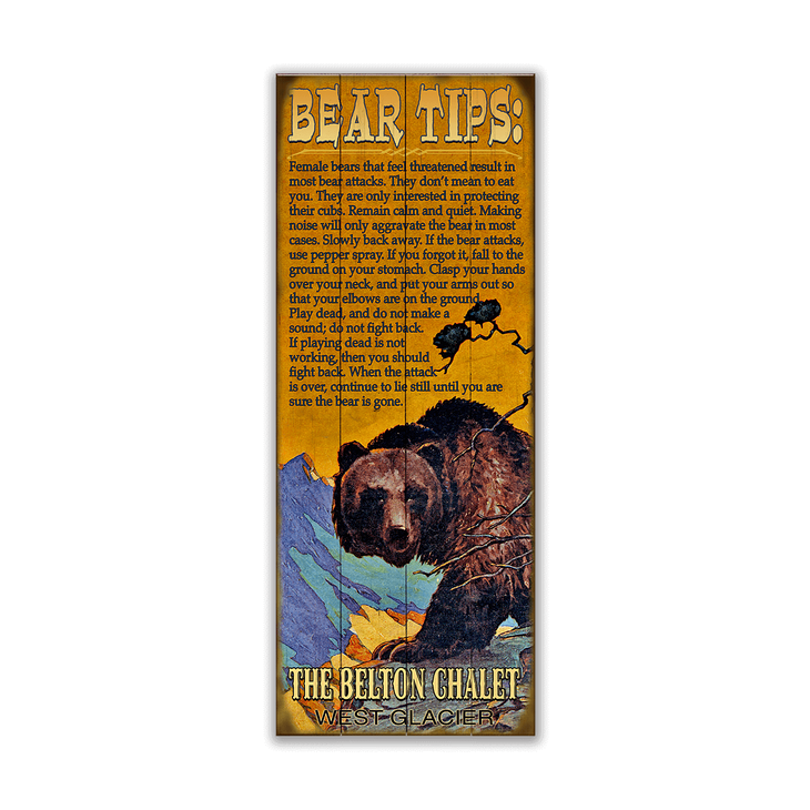 (Grizzly) Bear Tips - Bear Tips