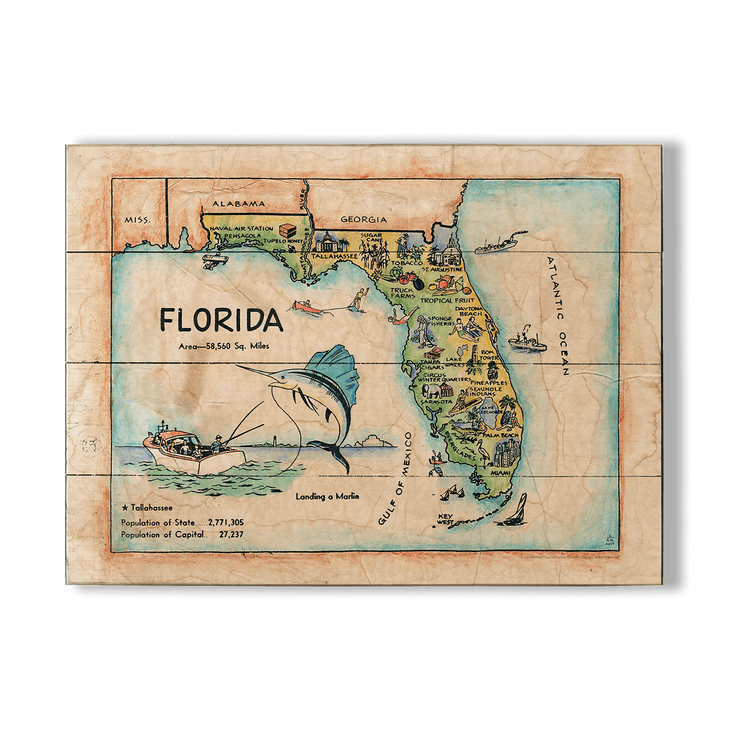 Historic Vintage Kids Map of Florida - Kids Map Florida