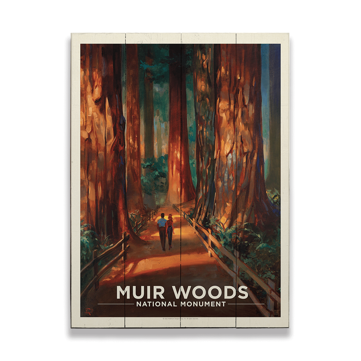 Muir Woods National Park - Muir Woods National Park