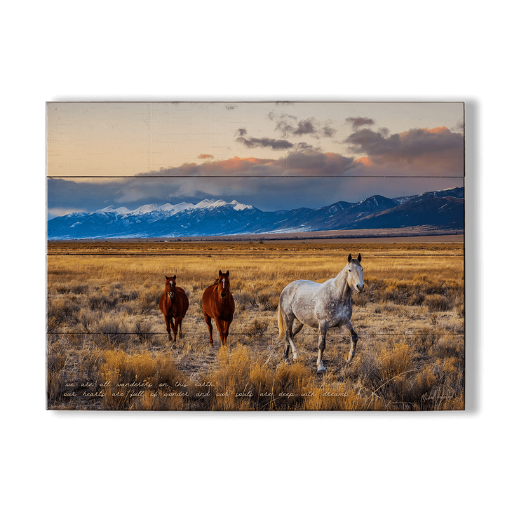 Horses in the San Luis Valley - Horses in the San Luis Valley