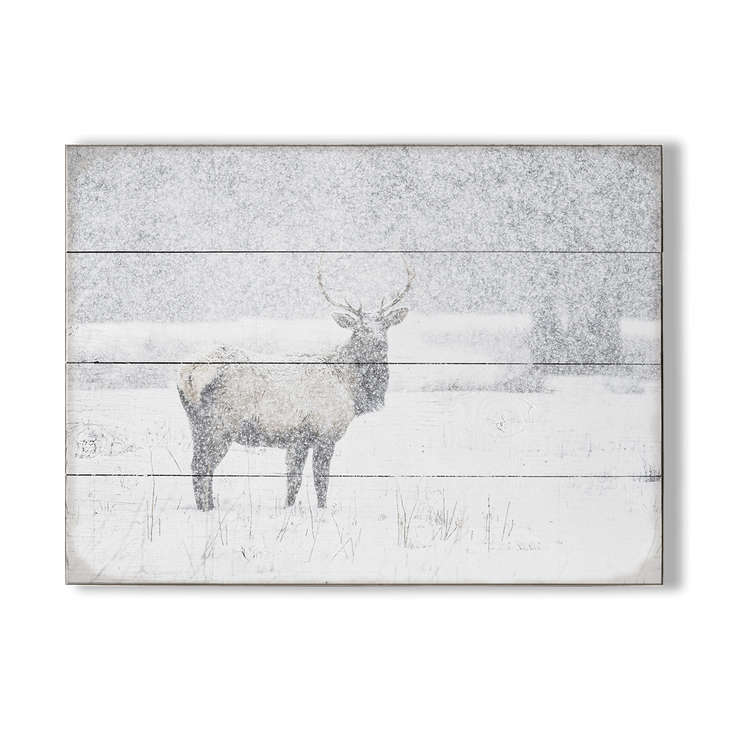 Snow Covered Elk - Snow Covered Elk
